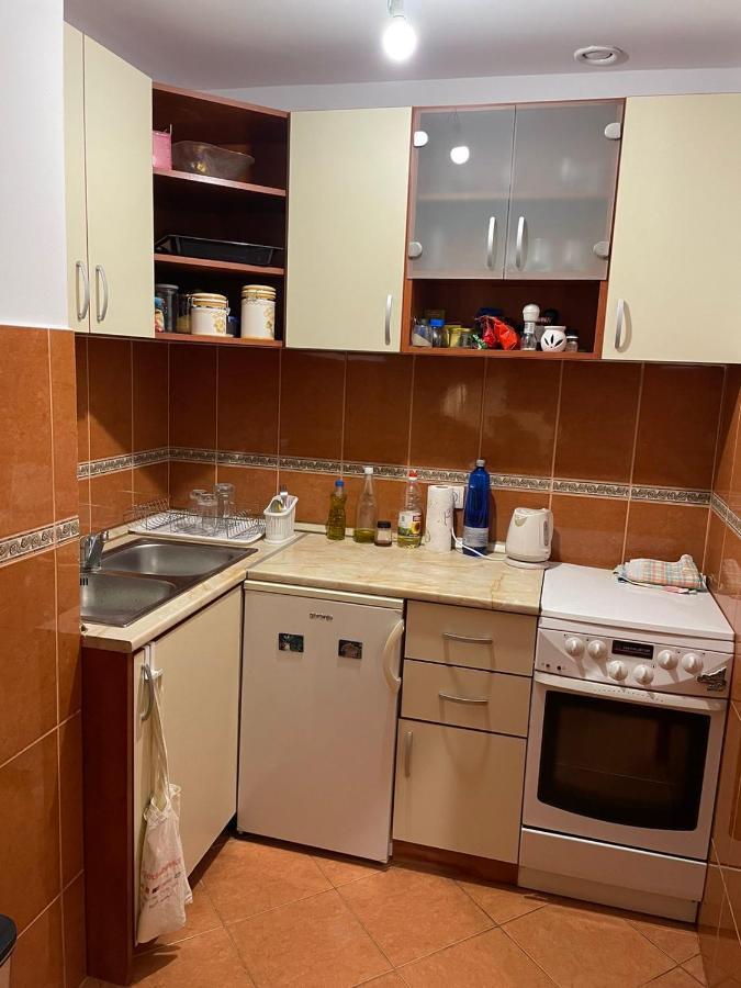 Apartman Sasa Ποντγορίτσα Εξωτερικό φωτογραφία